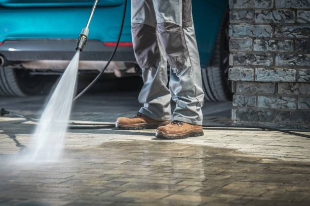 Best Gutter Cleaning  in Philippi, WV