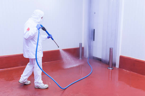 Best Solar Panel Cleaning  in Philippi, WV