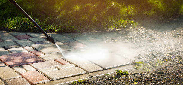 Best Roof Washing  in Philippi, WV